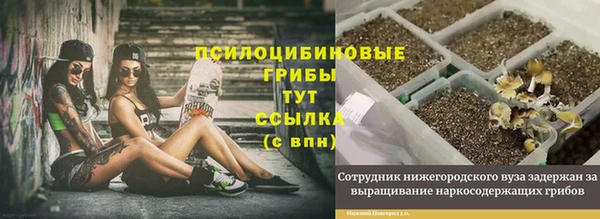 MDMA Premium VHQ Пересвет