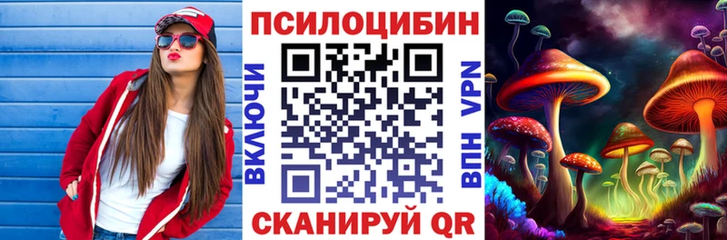 Галлюциногенные грибы MAGIC MUSHROOMS  сайты даркнета состав  Кувшиново  мега как зайти 